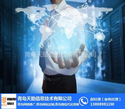 天助資源共享網(wǎng) 信息技術(shù)咨詢服務(wù)的卓越平臺(tái)